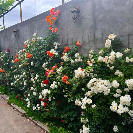 Hillside Guest House エレバン エクステリア 写真